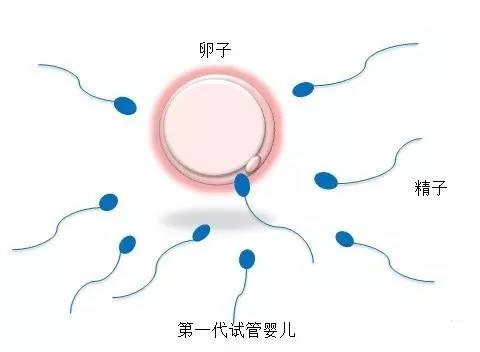周副主任医师